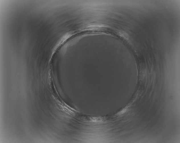 X0000063441362200602031730