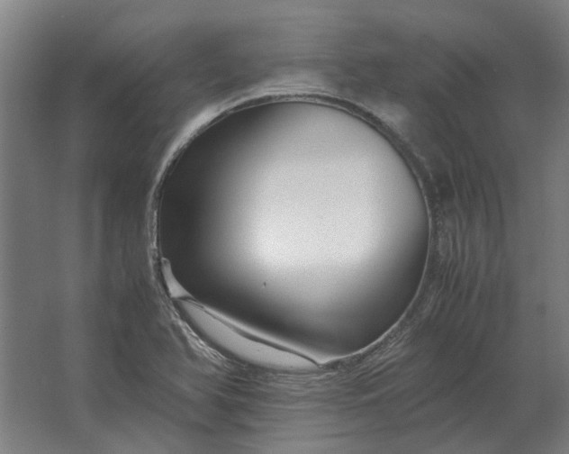 X0000063441366200602031730