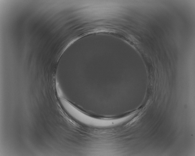 X0000063441369200602031730