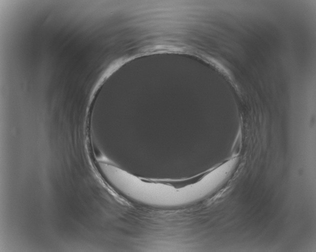 X0000063441373200602031730