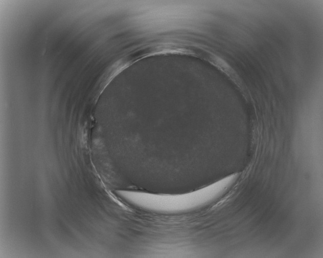 X0000063441377200602031730