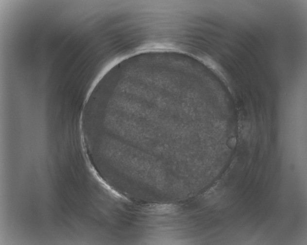 X0000063441382200602031730