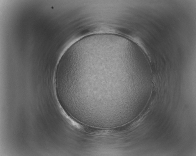X0000063441387200602031730