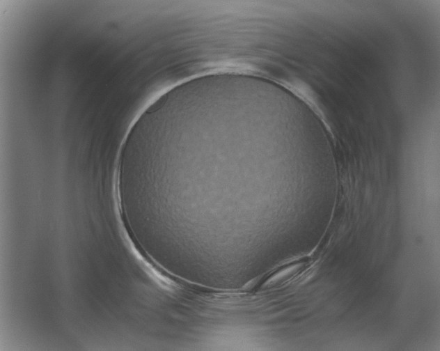 X0000063441391200602031730