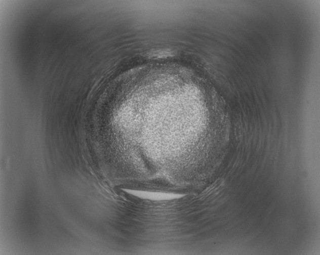 X0000063441393200602031729