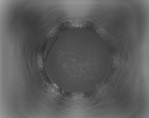 X0000063441394200602031729