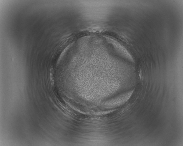 X0000063441396200602031729