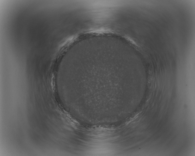 X0000063441398200602031729