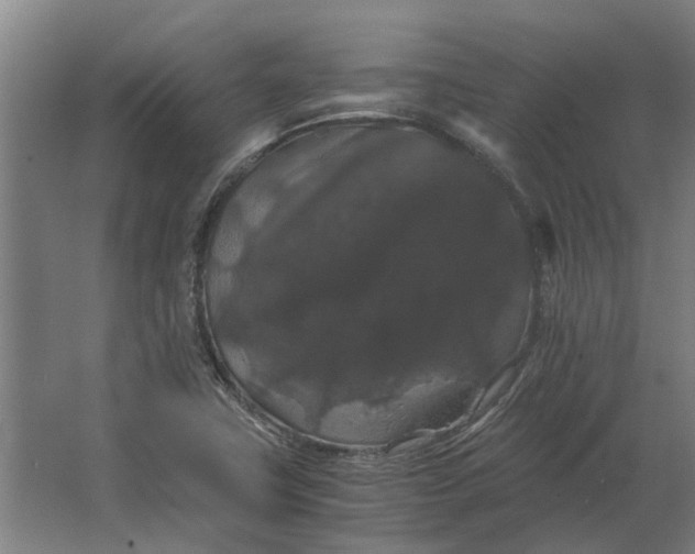 X0000063441411200602031729