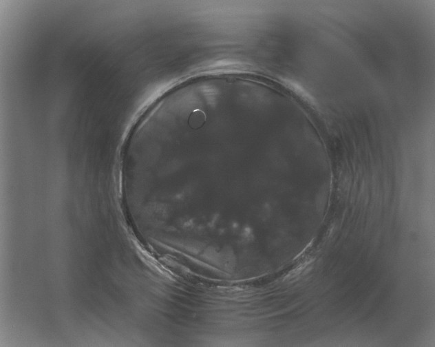 X0000063441413200602031729