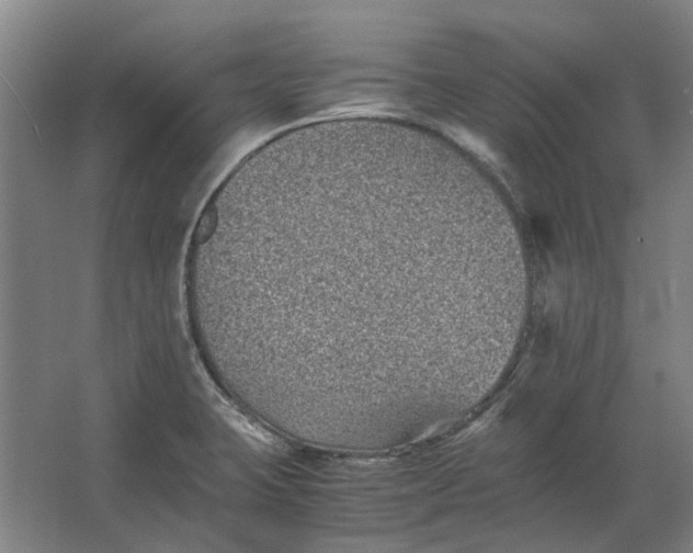 X0000063441423200602031730