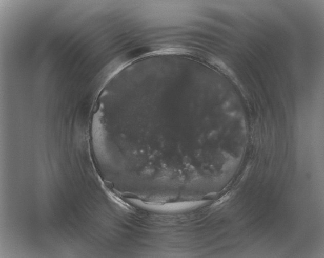 X0000063441425200602031730