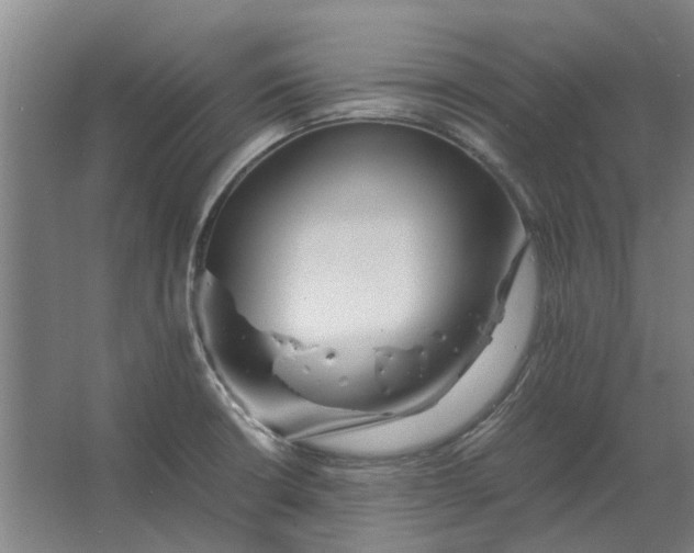 X0000063441426200602031730