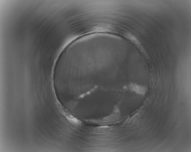 X0000063441427200602031730