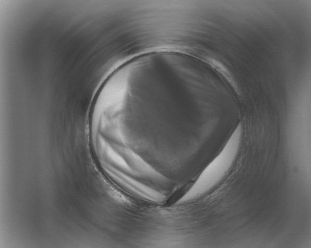 X0000063441428200602031730