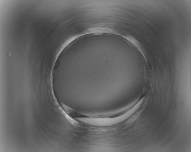 X0000063441438200602031730