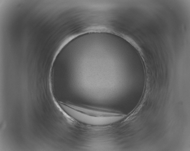 X0000063441440200602031730