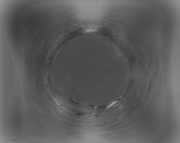 X0000063441441200602031729
