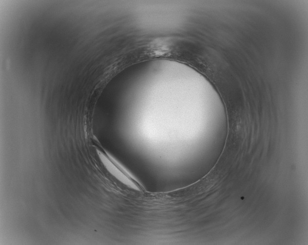 X0000063441442200602031729