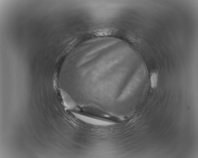 X0000063441444200602031729