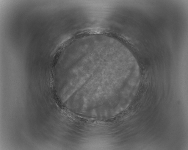 X0000063441446200602031729
