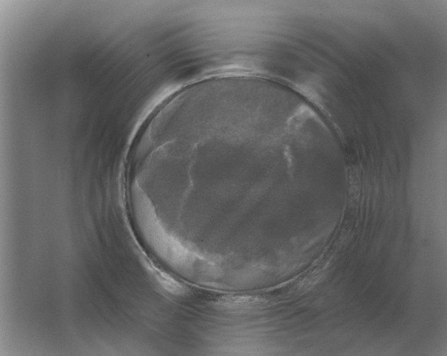 X0000063441474200602031728