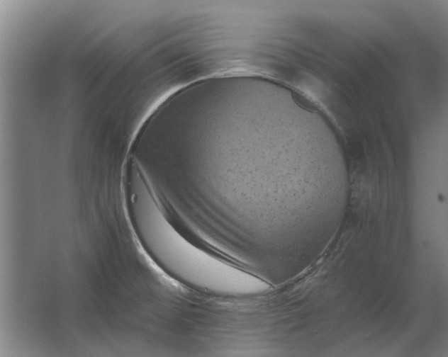 X0000063441476200602031728