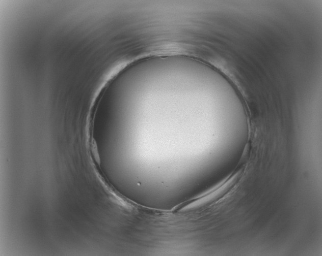 X0000063441477200602031728