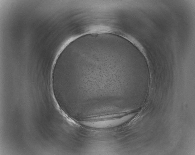 X0000063441488200602031728
