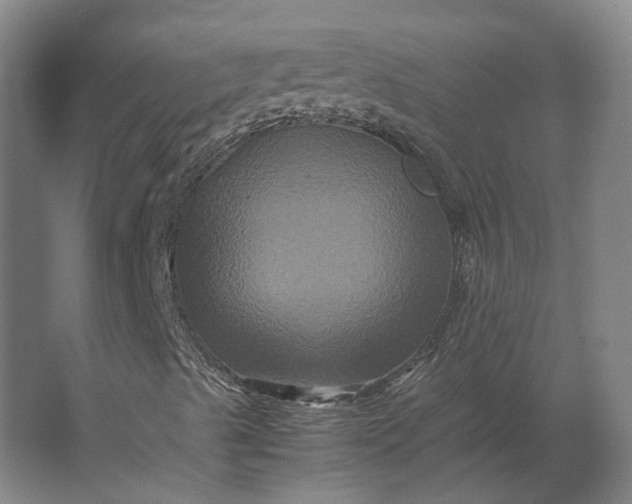 X0000063441489200602031727