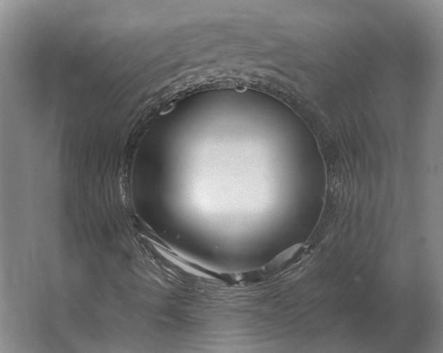 X0000063441490200602031727