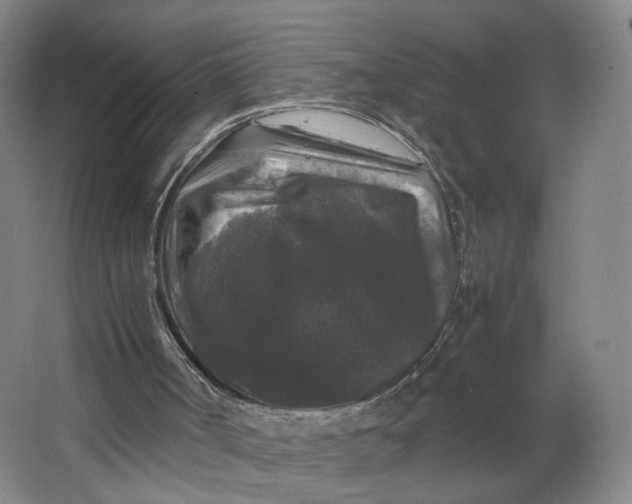 X0000063440002200602101634