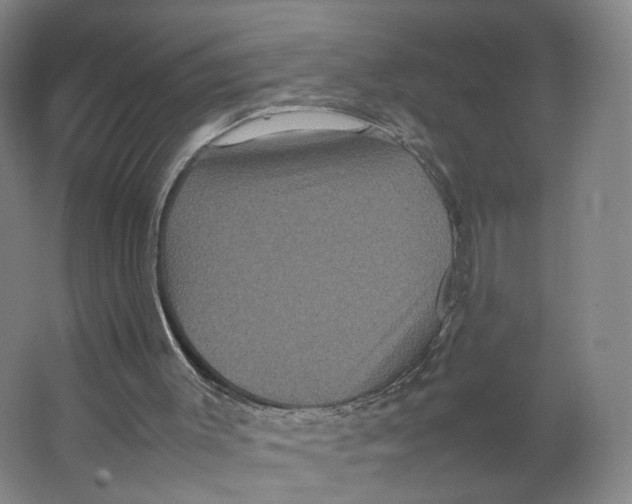 X0000063440003200602101634