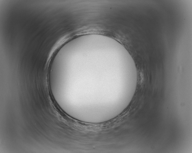 X0000063440004200602101634