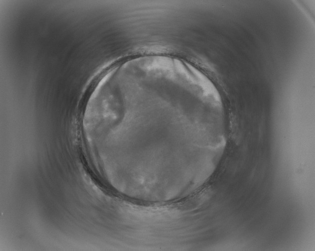 X0000063440012200602101634