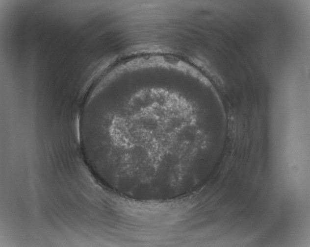 X0000063440014200602101634