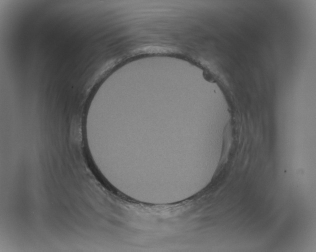 X0000063440015200602101634
