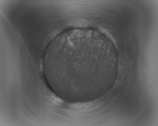 X0000063440017200602101634