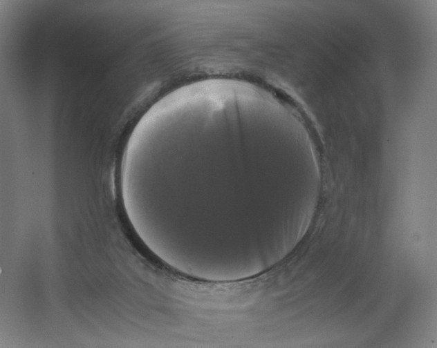 X0000063440019200602101634