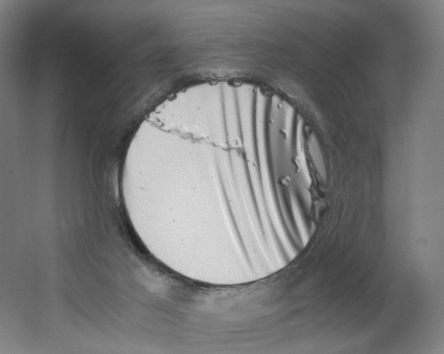 X0000063440021200602101634