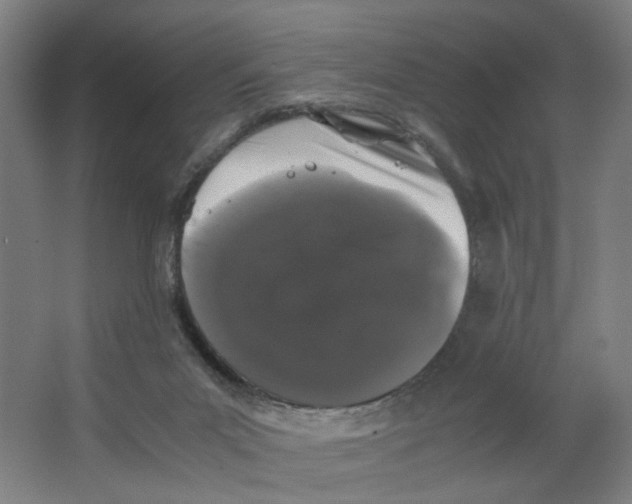 X0000063440023200602101634