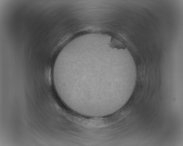 X0000063440024200602101634