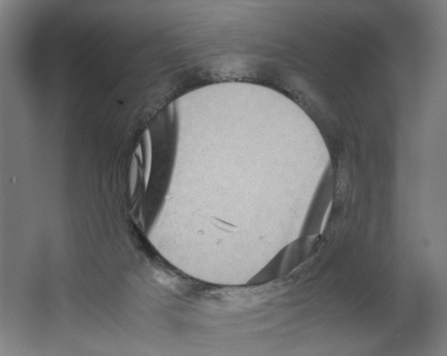 X0000063440025200602101634