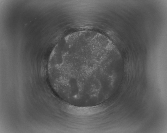 X0000063440030200602101634