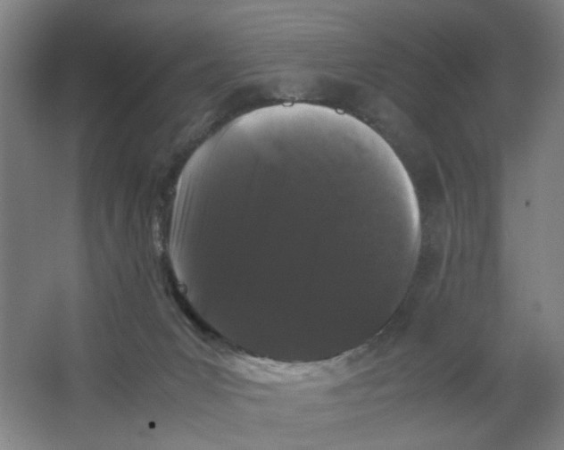 X0000063440031200602101634
