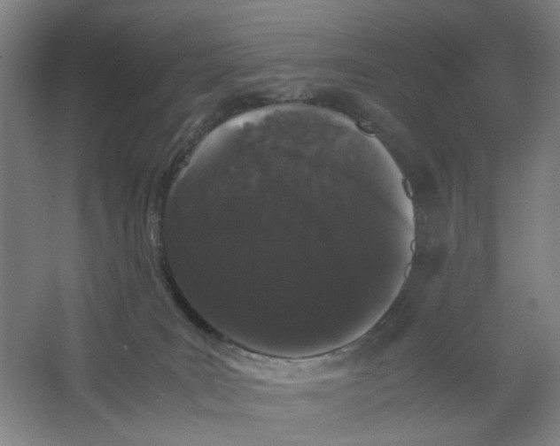 X0000063440035200602101634