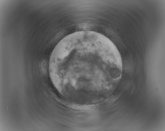 X0000063440036200602101634