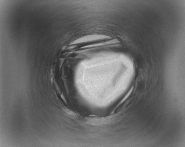 X0000063440037200602101634