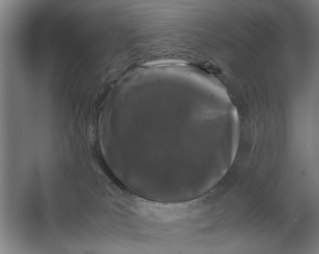 X0000063440039200602101634