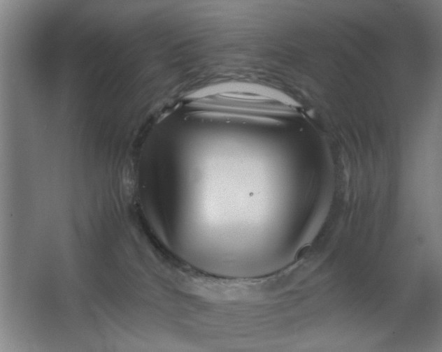 X0000063440040200602101634